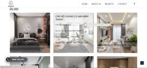 Indigo Design - Facebook ads, Website design project
