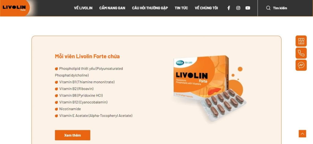 livolin - website design project