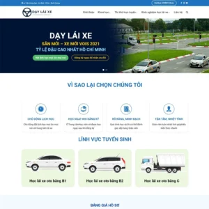 Website dạy lái xe 02