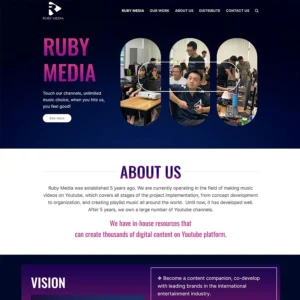 Website công ty media network