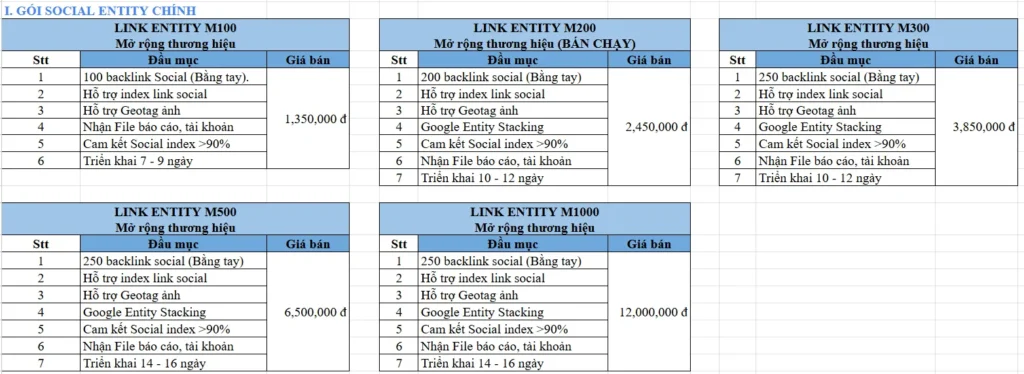 Dịch vụ Entity 1 dịch vụ backlink entity