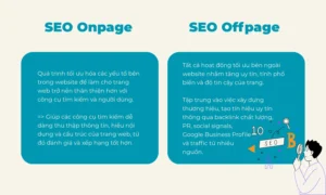 seo onpage và offpage